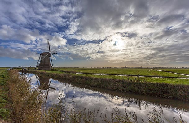 Nederlandse polder
